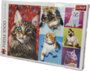 1000 teile Puzzle Katze Trefl