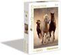 Clementoni 39168 Running Horses – Puzzle 1000 Teile, High Quality Collection, buntes Legespiel für die ganze Familie, Erwachsene