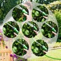 Grafner Flexibler Gartenschlauch Klickanschlüssen grün 30 meter